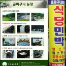 강원도흑염소 이미지