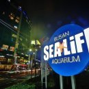 제이비디자인호텔(JB Design HOTEL) 이미지