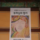 쇠,흙+소리 Ⅱ | 양산 통도사 후기 | 우담바라,홍매화,주말나들이,힐링산책코스