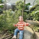 상동어린이공원 | 부천 아기랑 갈만한곳 상동호수공원 수피아 식물원&amp;카페 : 예약없이 현장발권 후기, 주차 꿀팁