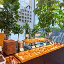 카페아베크 이미지