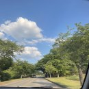 강동로7-71 | 대구 근교 [ 골프존카운티 구미 ] 후기