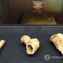 쌍릉 이미지