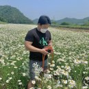 명보장여관 이미지