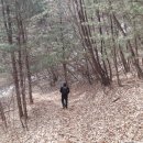 황둔마을 이미지