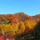 오도재휴게소
