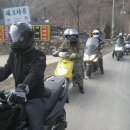 알모터스 이미지