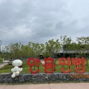 안흥감자탕 이미지