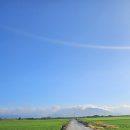 신조농장 이미지