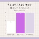 오토오아시스 스피디움인제점 | 오아시스 정글 캠핑장, 무료 노천탕이 있는 겨울 캠핑장 추천