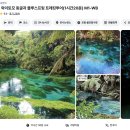 올래드 | 뉴질래드 와이토모 동굴 블루스프링 트레킹 당일투어 총정리 28만원대