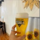 제주달빛 이미지