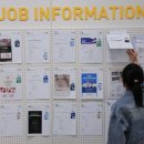 ​ "신입 대신 AI와 일할래"… 다른 연령대 취업 느는데 청년만 줄었다 이미지