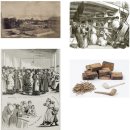 천안시립노인전문병원 1층 화장실 | ［ 호주 / 시드니 ] 가볼만한곳 세계문화유산 하이드 파크 배럭스 뮤지엄 Hyde Park Barracks Museum