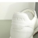 다운타운 이미지