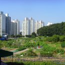 안한농장 이미지