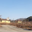 전진스키 이미지
