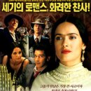 프리다 - 용인시 처인구 금어로 317 | 프리다