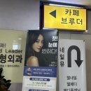 [범계] 디저트맛집 인정? <카페 브루더>(feat. 리틀포레스트)