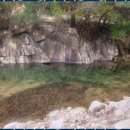 꽃피는민박 이미지