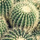 연천유치원 이미지