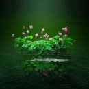 밀양병원 이미지