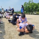 지례초교 이미지