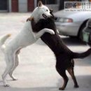 친구야반갑다 이미지