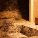 퍼플스테이 이미지