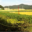 여주-0717 Daum카페