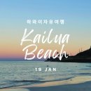 초월지장고부동산공인중개사사무소 | 하와이자유여행 카일루아비치 버즈스테이크하우스 트레디션커피 뵤도인사원 니코스38 후기