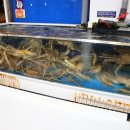 시장화장실(어물전) 이미지