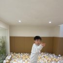 그로우모먼트 이미지