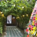 충정화로 이미지