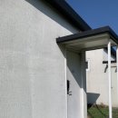 퐁낭에염 이미지