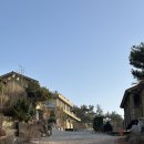 쥬라기별빛쉼터 | 안면도 쥬라기박물관 펜션, 아기랑 태안 쥬라기별빛쉼터펜션 강추