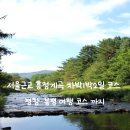 봉평마을회관 | 서울근교 흥정계곡 차박 1박2일 코스, 평창·봉평 여행까지