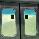 영일가든 | 단풍 보러 나들이 갔는데 단풍이 없어(춘천 나들이)