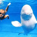 속초국민체육센터(수영장) 이미지