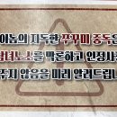 그놈쭈꾸미 이미지