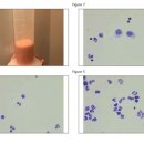 웅상동물병원 이미지