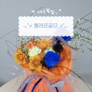 루이스 초이의 「초이`s 초이스」 | [플레르꼼므]대구꽃집/동성러꽃집/대구꽃다발