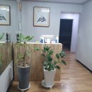 고흥금다연 이미지