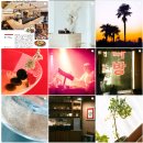 마주(mazoo) 이미지