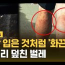 🚨태풍 카눈; 잼버리 세만금 떠나 서울, 수도권으로 완전 이동!!! 주님께서 윤석열 정부 살리셨습니다 주께 영광!! 주께 감사! 아멘 이미지