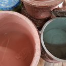 제산초등학교병설유치원 이미지