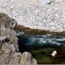 창촌약국 이미지