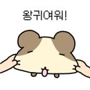 라비앙네일 - 거제시 옥포로 194 | 라비앙네일