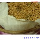 알콩달콩청국장 이미지