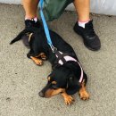 경산생활체육공원 이미지